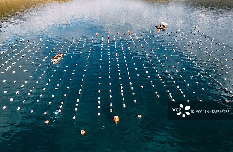 海上贻贝和牡蛎养殖场无人机视角图片素材