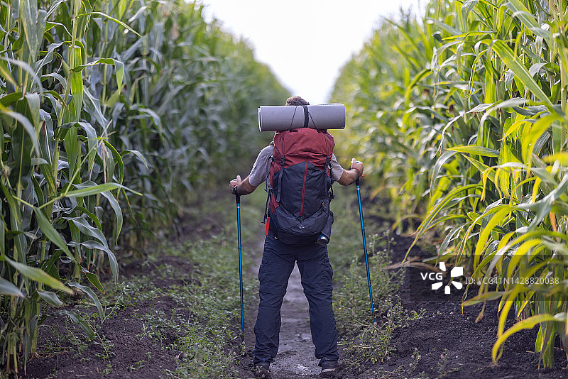 夏季在野外小路上行走的男人图片素材