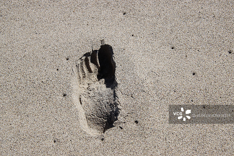 沙滩上的脚印图片素材