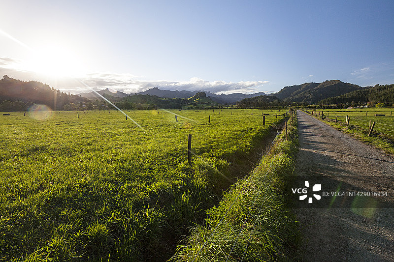 新西兰乡村山丘和土路的日落图片素材