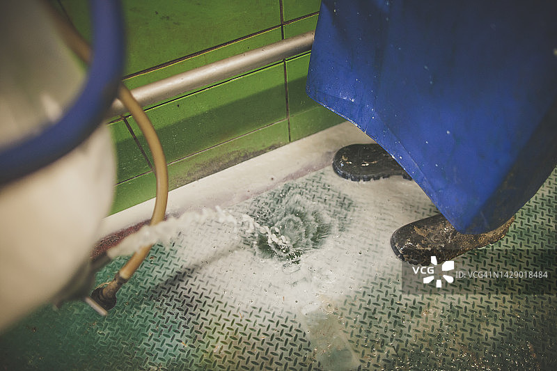 在加拿大不列颠哥伦比亚省奇利瓦克，乳品场从储罐中排出劣质牛奶图片素材