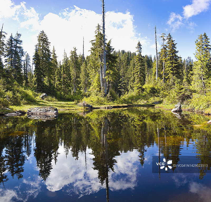 加拿大不列颠哥伦比亚温哥华维卡湖群的森林倒影图片素材
