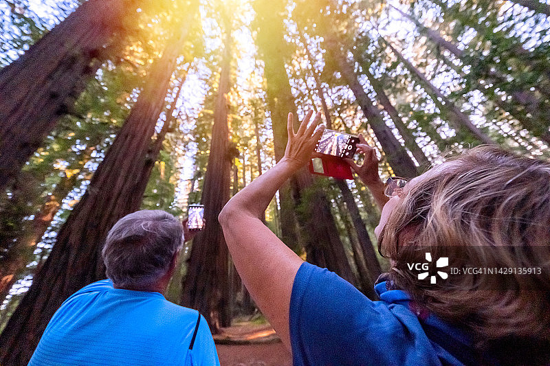 微笑老年夫妇看着智能手机相机拍摄红杉树图片素材