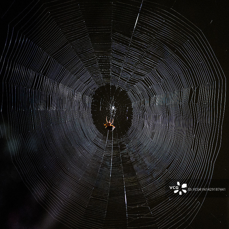 22BG05c - 拉古纳尼格尔，加利福尼亚州，美国图片素材