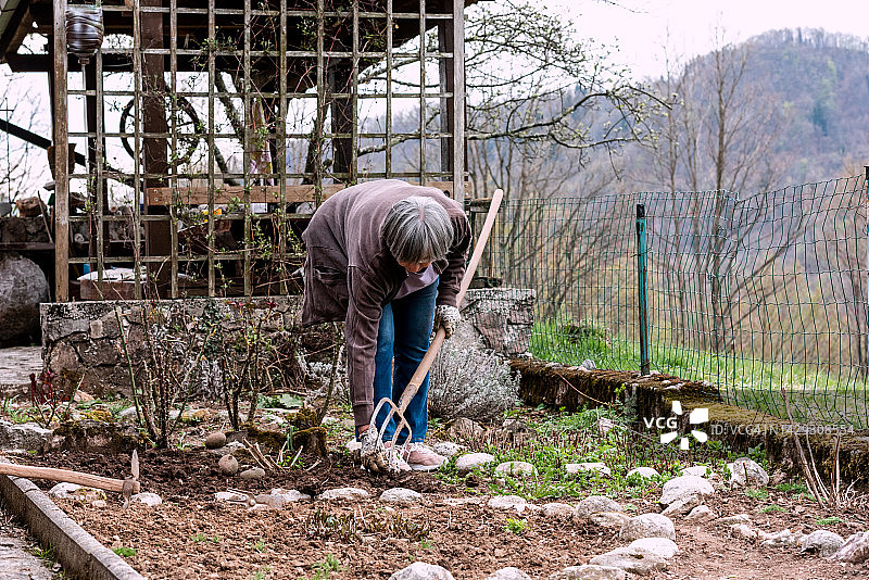 春天在花园里挖土的年长女性图片素材