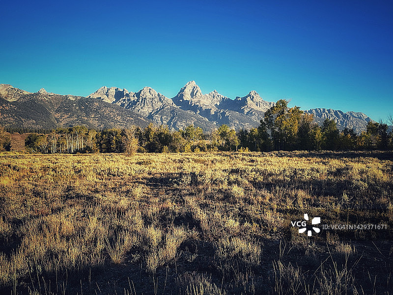 怀俄明州杰克逊霍尔的清晨图片素材