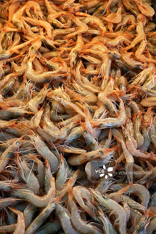 于尔拉鱼摊上的高角度鲜虾特写图片素材