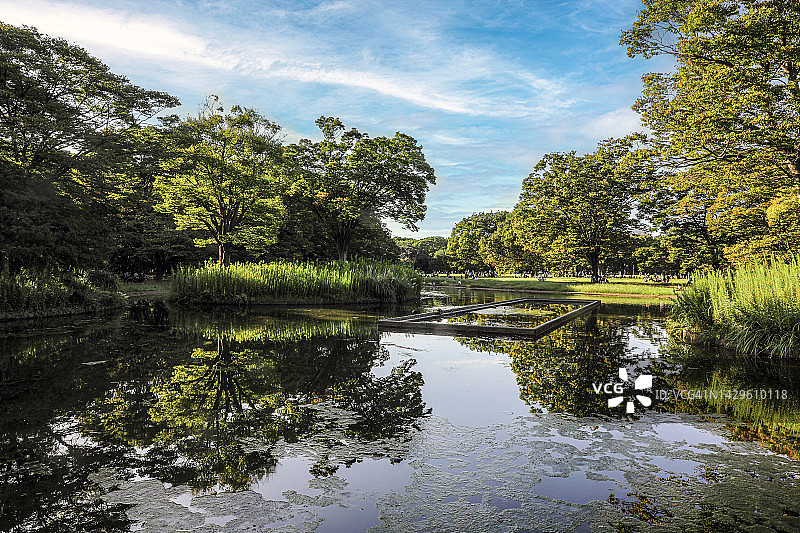 公园里的池塘图片素材