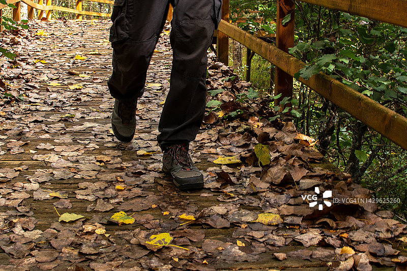 男人的腿、登山靴、绿叶地面、秋天图片素材