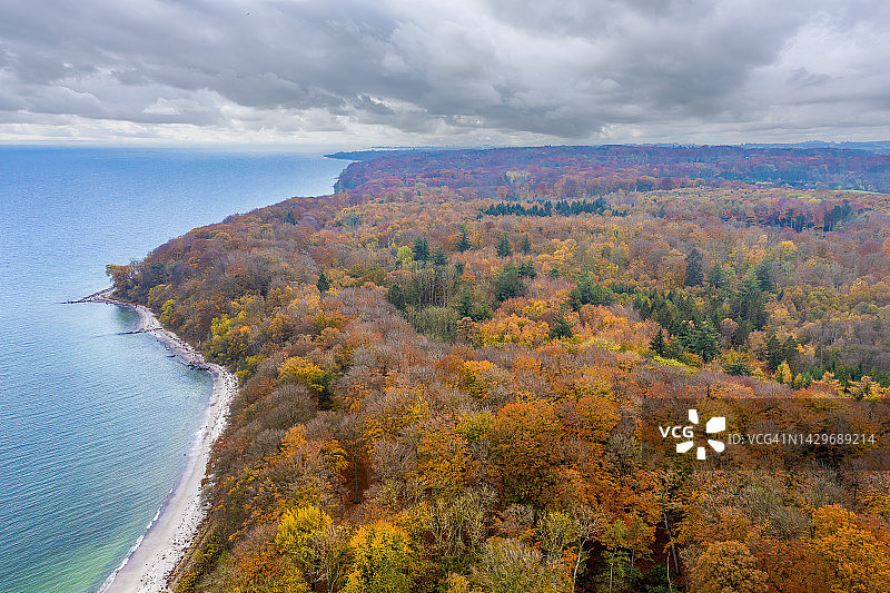 丹麦奥胡斯 Moesgaard 海滩森林景色图片素材
