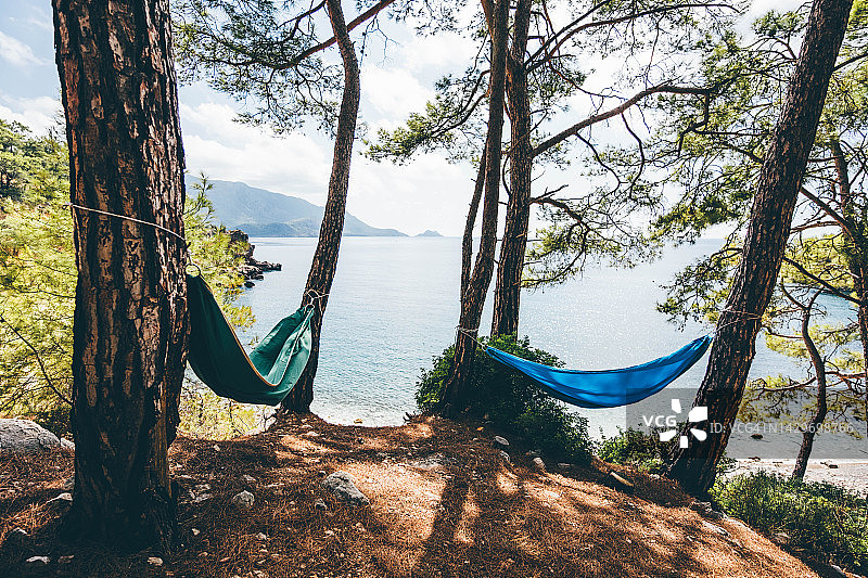 海边森林附近的吊床图片素材