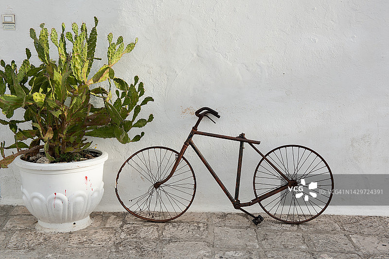 自行车和仙人掌图片素材