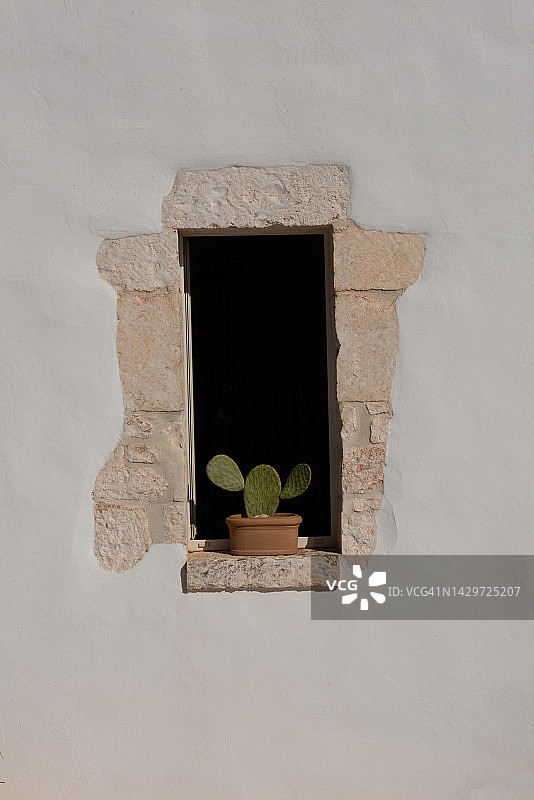 窗户和仙人掌图片素材