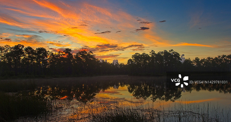 大沼泽地国家公园日出图片素材