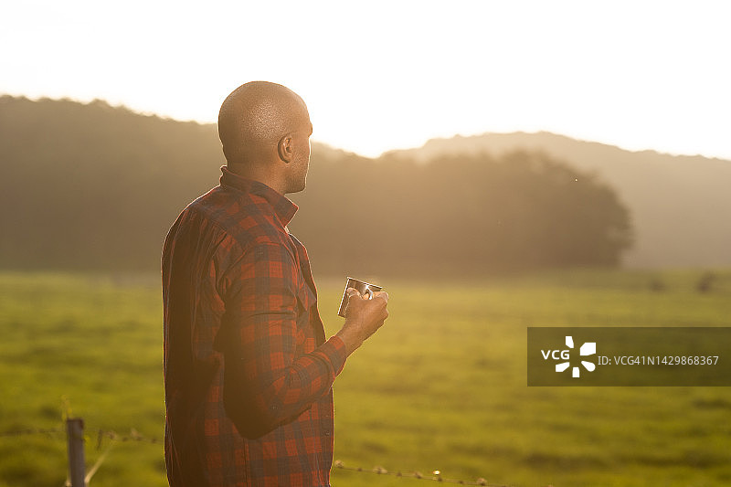 日出时分在田野中与牛群一起喝咖啡的男人图片素材