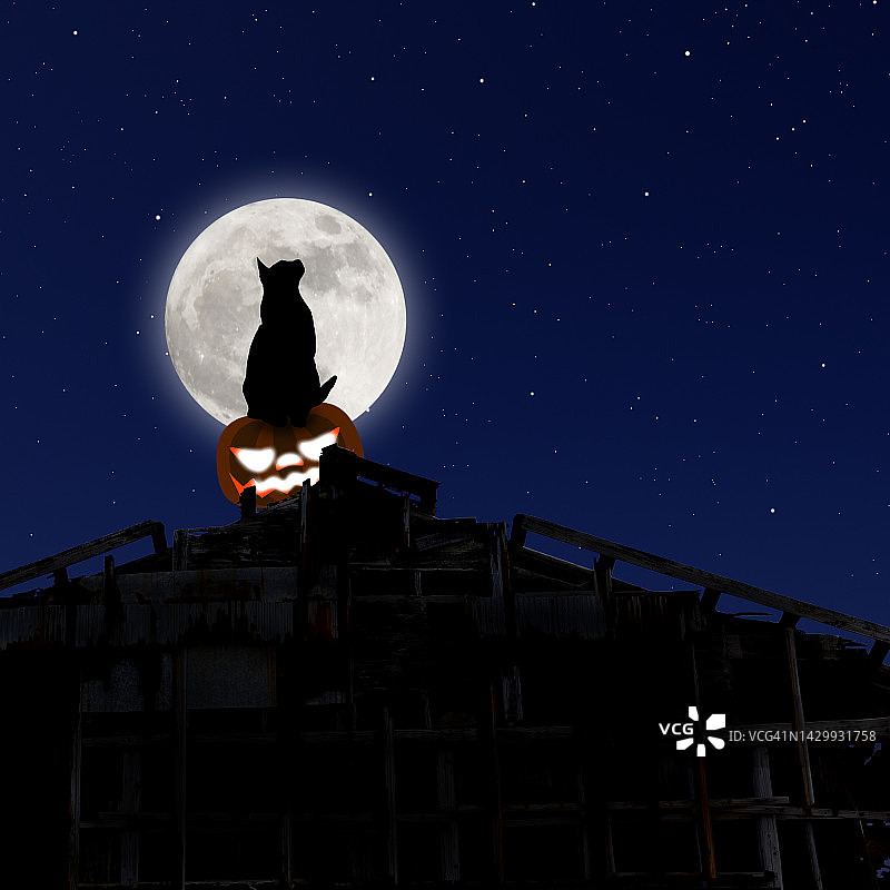 万圣节：仓库屋顶猫与南瓜旁的超级月亮图片素材
