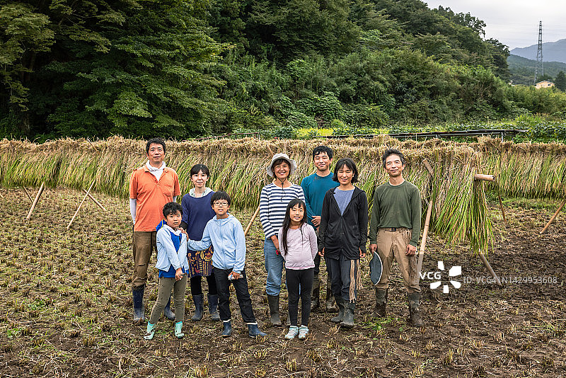 一家人收获有机种植水稻，一位朋友帮忙图片素材
