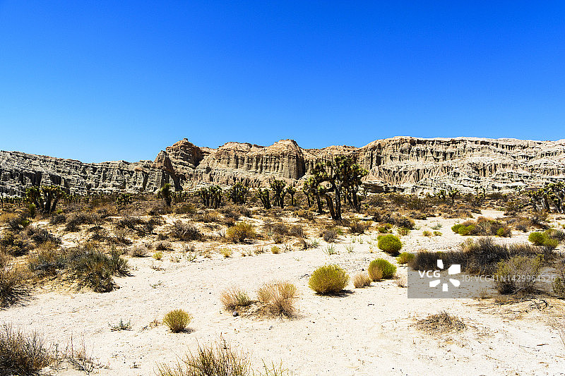 红岩峡谷州立公园图片素材