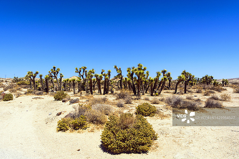 红岩峡谷州立公园图片素材