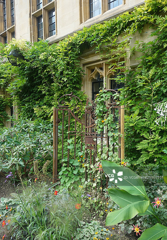 牛津大学贝利奥尔学院图片素材