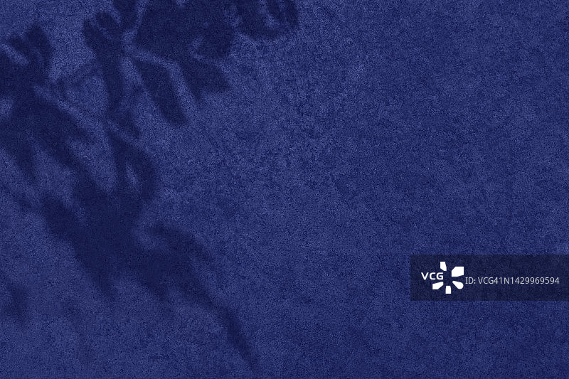 深蓝色混凝土墙纹理背景上的树叶阴影图片素材