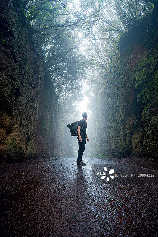 男子独自背着背包走在魔法森林的路上，万圣节背景，特内里费岛阿纳加公路图片素材