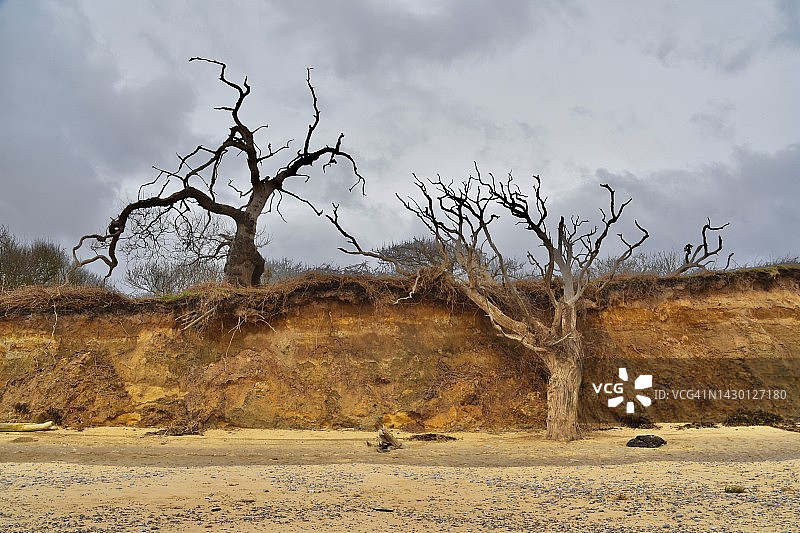 倒下的垂直物图片素材