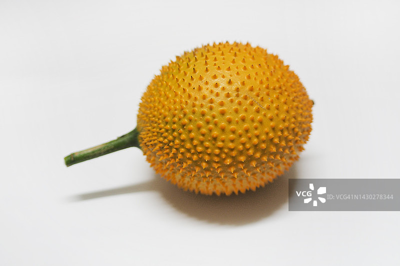 木鳖果，婴孩菠萝蜜，Cochinchin葫芦，多刺苦瓜，甜葫芦，Cochinchin葫芦果图片素材