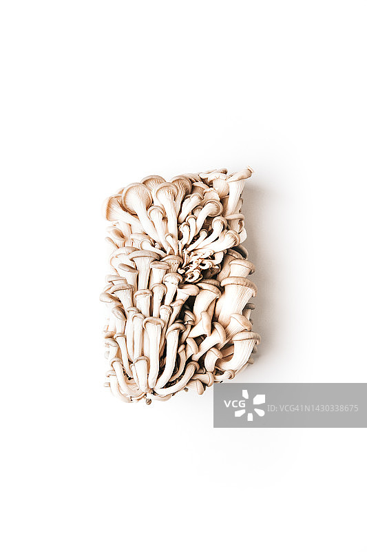 食用蘑菇与天然材料产品静物展示图片素材