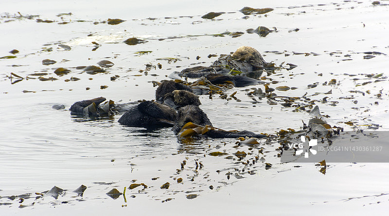 莫罗湾图片素材