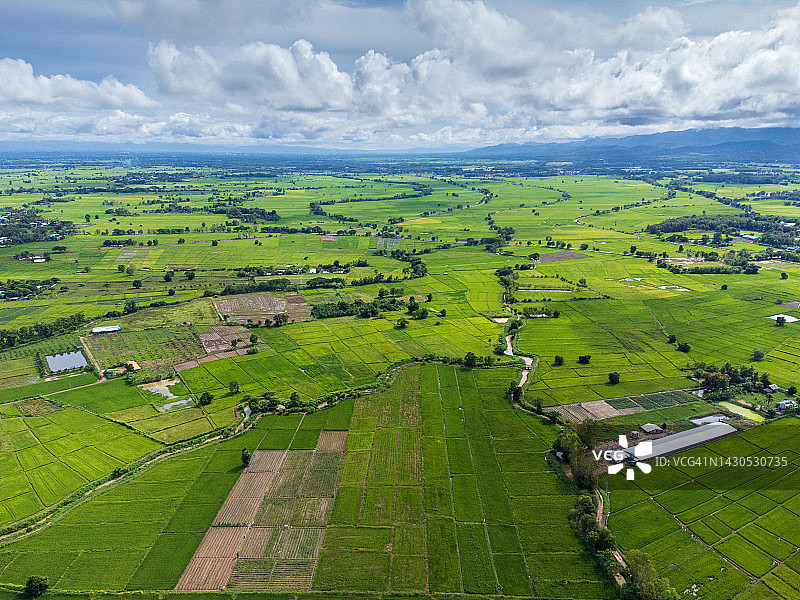 泰国帕府雨季稻田鸟瞰图图片素材