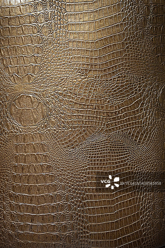 鳄鱼皮图案真皮纹理背景图片素材