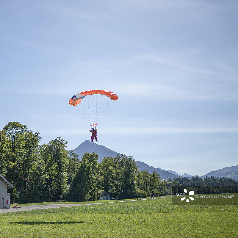 跳伞员使用降落伞在茂盛的草地上空飞行准备着陆图片素材