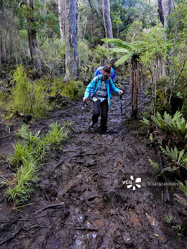 在新西兰斯图尔特岛Rakiura步道上徒步的背包客中年妇女图片素材