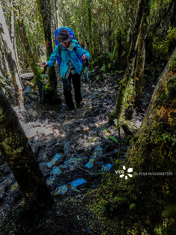 在新西兰斯图尔特岛Rakiura步道上徒步的背包客中年妇女图片素材