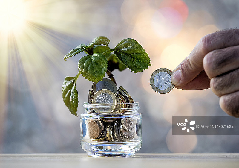 阳光照射下，装在花盆中、用欧元硬币施肥的植物图片素材