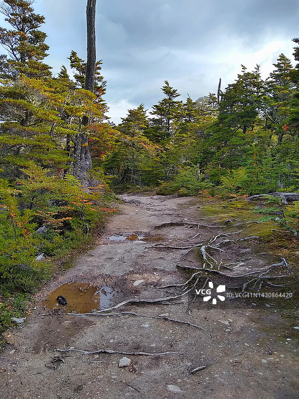 阿根廷巴塔哥尼亚乌斯怀亚附近的步道图片素材