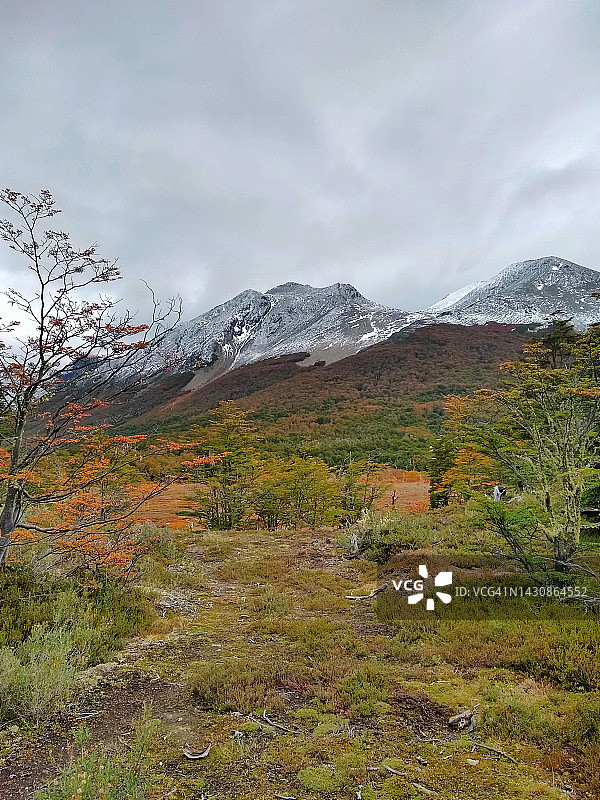 秋季阿根廷巴塔哥尼亚乌斯怀亚的雪山图片素材
