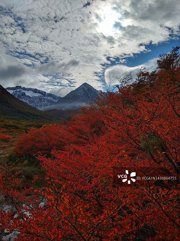 秋季阿根廷巴塔哥尼亚乌斯怀亚的雪山图片素材