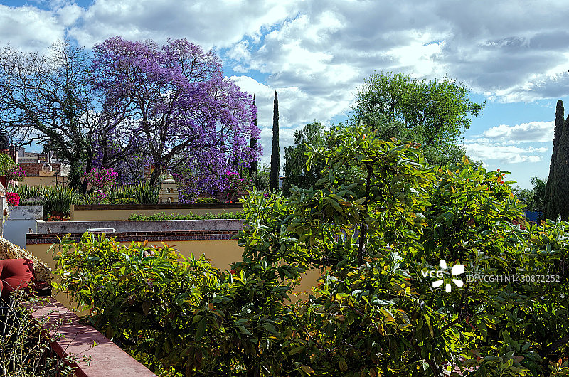 屋顶露台景观图片素材