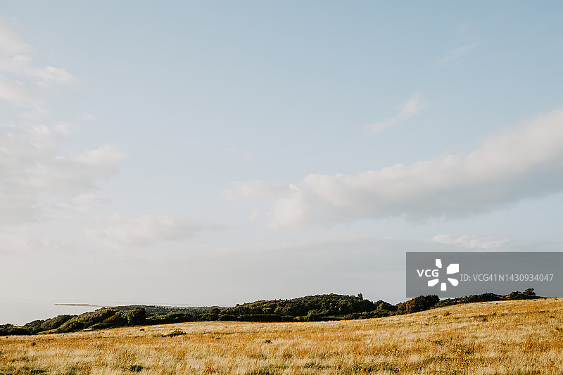 多云天空下的乡村干燥草甸图片素材