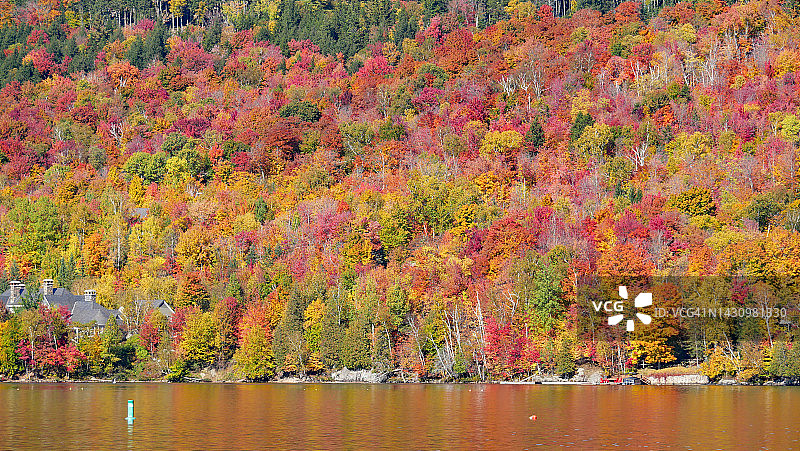 加拿大魁北克省翠湖山省立公园，翠湖山边印第安夏日色彩的森林景观图片素材
