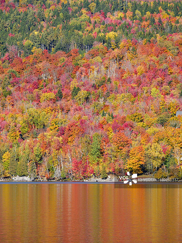 加拿大魁北克 Tremblant 湖畔的秋日森林景色图片素材