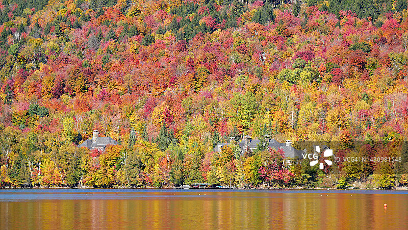 加拿大魁北克翠湖山省立公园的秋色森林图片素材