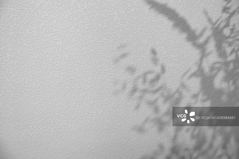 灰色混凝土墙上草和花的影子背景图片素材