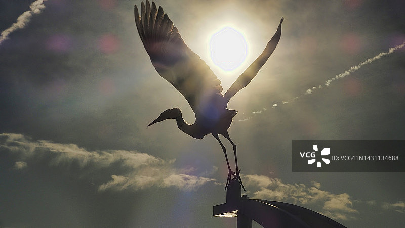 非典型的日出图片素材