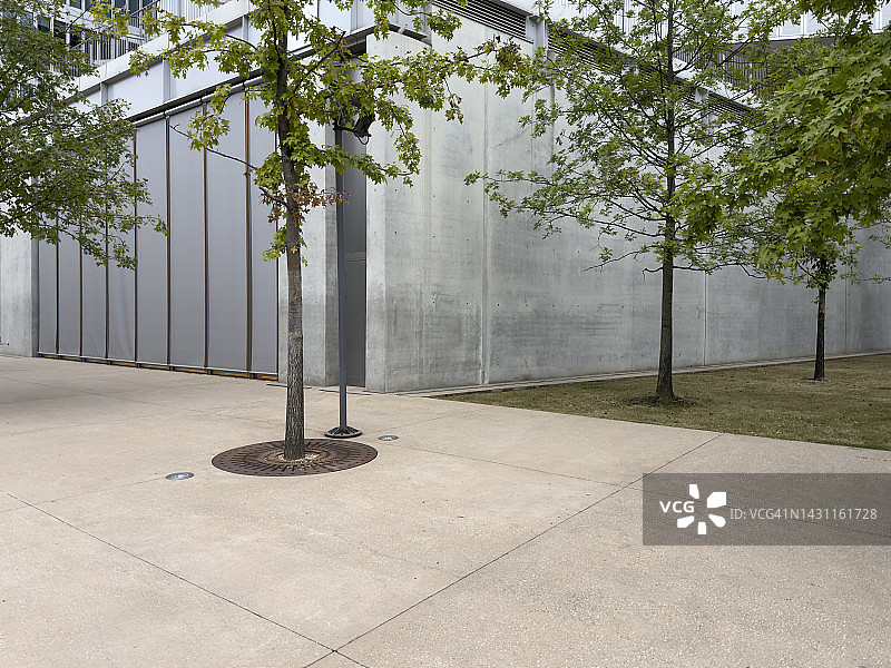 清水混凝土风格墙外的大树图片素材