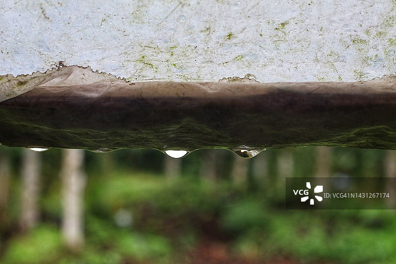 模糊背景下的雨水图片素材