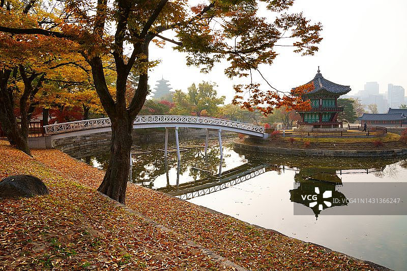 秋天的落叶图片素材