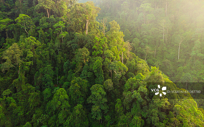 勒user山国家公园图片素材